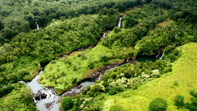 Zipline through paradise in hawaii